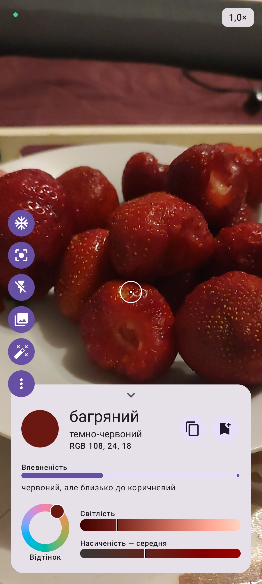 Main screen: live camera and result